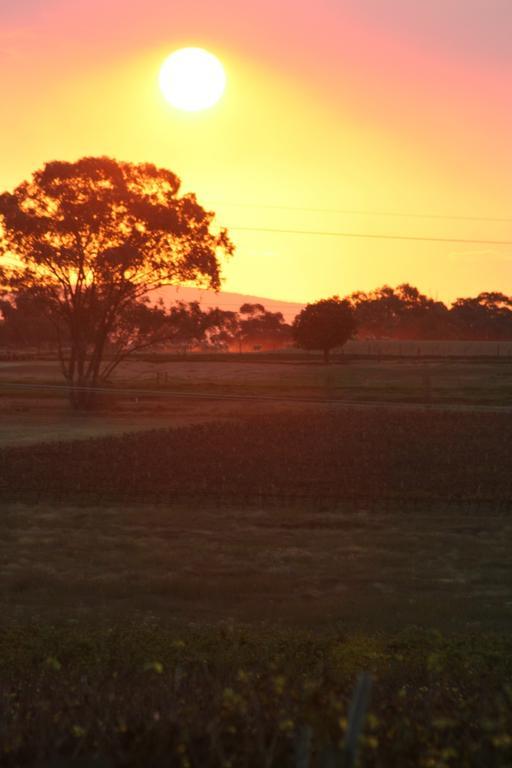 The Vineyard Motel Cowra Εξωτερικό φωτογραφία