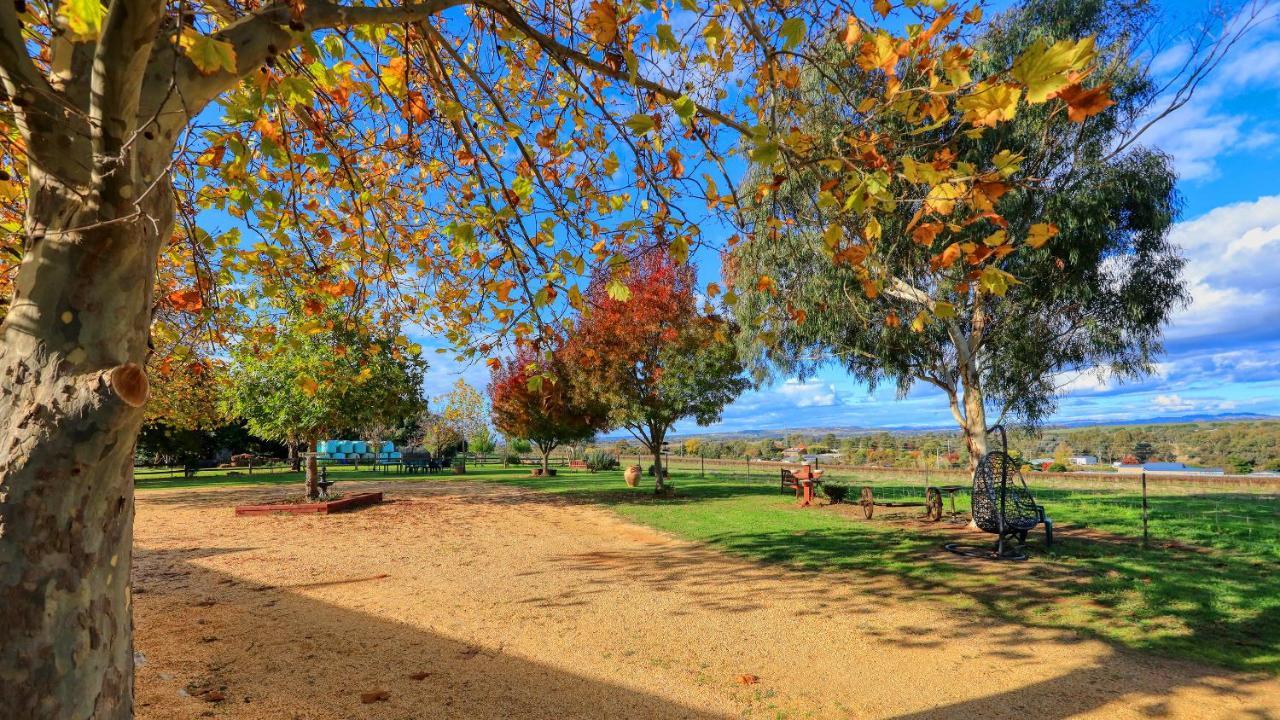 The Vineyard Motel Cowra Εξωτερικό φωτογραφία