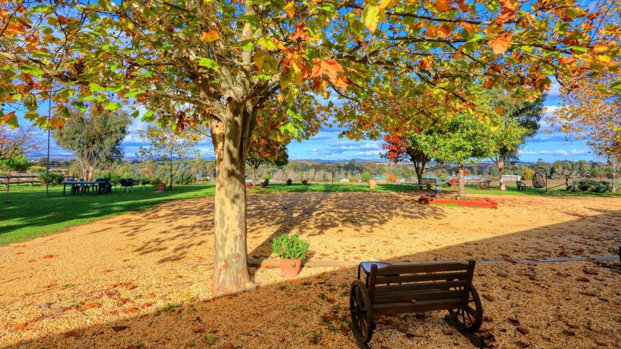 The Vineyard Motel Cowra Εξωτερικό φωτογραφία