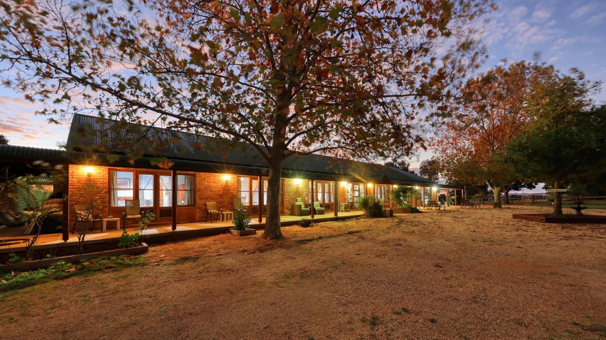 The Vineyard Motel Cowra Εξωτερικό φωτογραφία