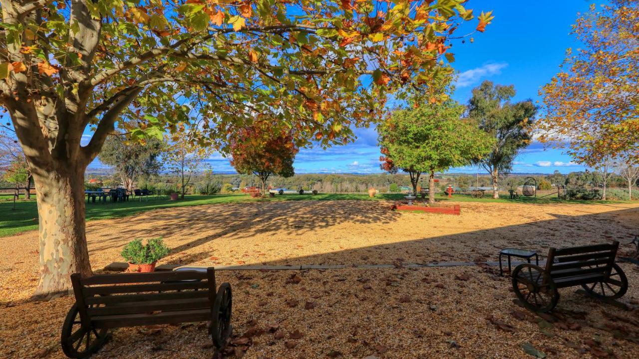 The Vineyard Motel Cowra Εξωτερικό φωτογραφία